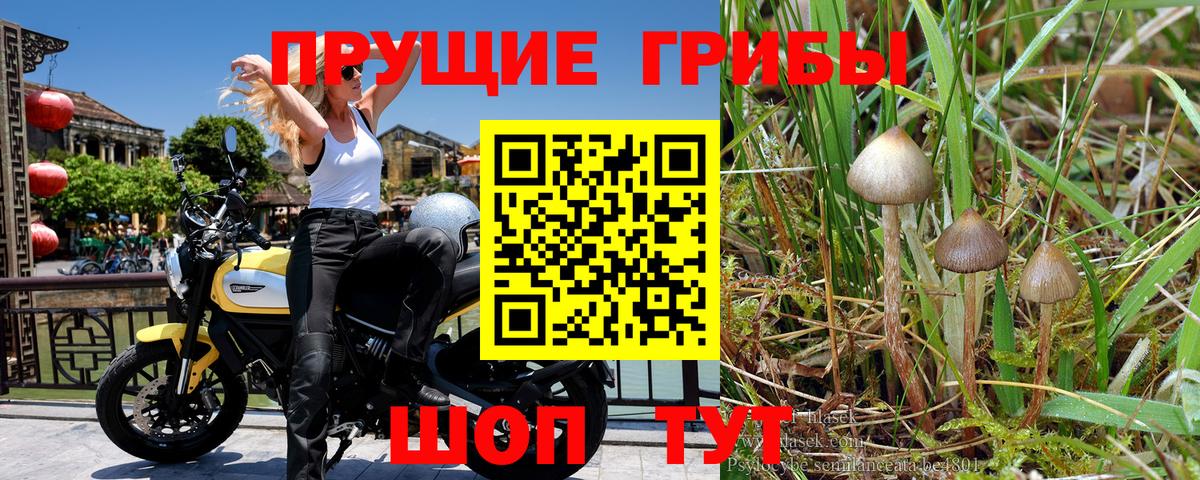 Городец  Галлюциногенные грибы GOLDEN TEACHER  Вход с VPN 
