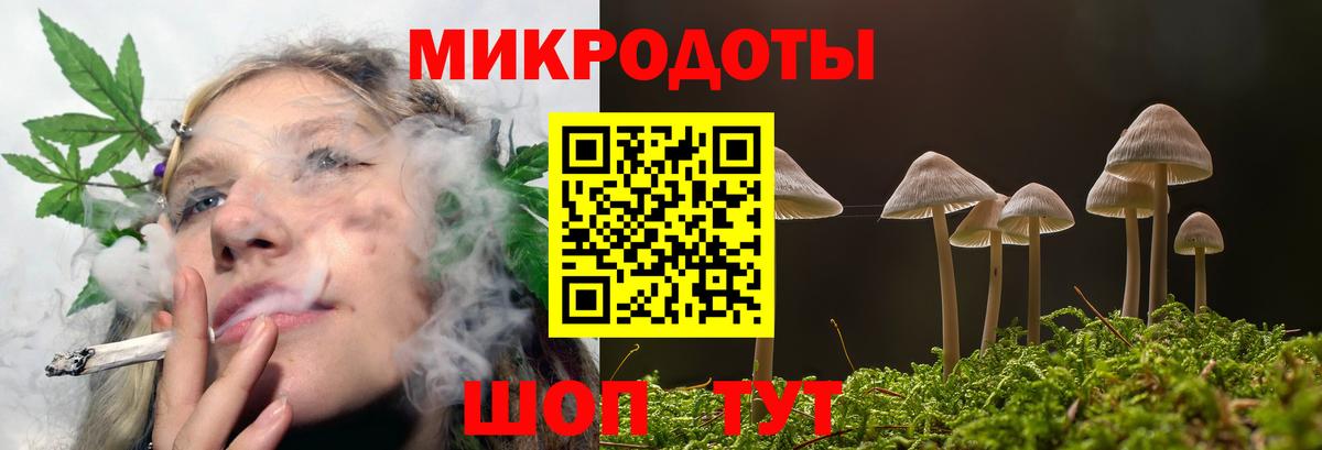 Псилоцибиновые грибы Psilocybine cubensis  Городец 