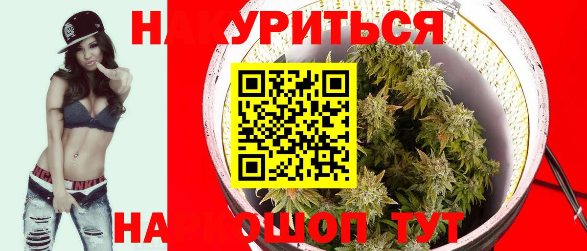 Бошки Шишки план Городец